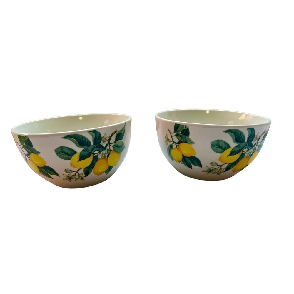Set of 2 Royal Norfolk Ceramic Lemon  Soup Bowls